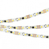 Светодиодная лента SPI-5000-5060-60 12V Cx3 White6000-Auto (10mm, 13.2W, IP20) (Arlight, Открытый, IP20)