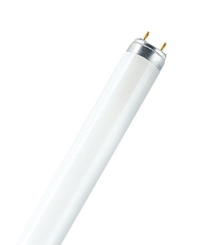 Лампа люминесцентная L 30W/640 G13