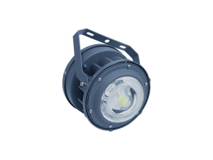 ACORN LED 20 D120 5000K Ex светильник