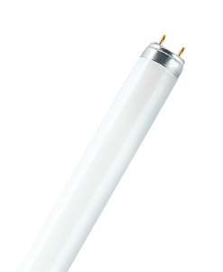 Лампа люминесцентная L 30W/640 G13