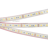 Светодиодная лента герметичная RTW-PFS-B60-13mm 12V Cool 10K (14.4 W/m, IP68, 5060, 5m) (Arlight, 14.4 Вт/м, IP68)