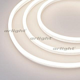 Образец Гибкий неон GALAXY-1608-5000CFS-2835-100 12V Day 0.5M (16x8mm, 12W, IP67) (Arlight, 12 Вт/м, IP67)