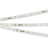 Светодиодная лента RT-20000 24V White5500 (3528, 60 LED/m, 20m) (Arlight, 4.8 Вт/м, IP20)