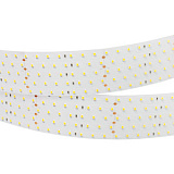 Светодиодная лента RT 2-2500 24V Day5000 5x2 (2835, 875 LED, CRI98) (Arlight, 36 Вт/м, IP20)