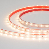 Светодиодная лента герметичная RTW-PS-A60-10mm 12V Warm2700 (4.8 W/m, IP67, 2835, 5m) (Arlight, 4.8 Вт/м, IP67)