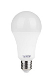 Лампа светодиодная GLDEN-WA60-17-230-E27-6500 угол 140