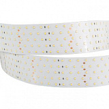Светодиодная лента RT 2-2500 24V Warm2700 5x2 (2835, 875 LED, CRI98) (Arlight, 36 Вт/м, IP20)