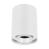Светильник SP-FOCUS-R110-18W Day4000 (WH, 50 deg, 230V) (Arlight, IP54 Металл, 5 лет)
