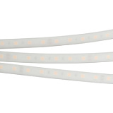 Светодиодная лента RTW 2-5000PW 12V White6000 2x (5060, 300 LED, LUX) (Arlight, 14.4 Вт/м, IP66)