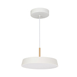 Светильник SP-ELEGANT-R300-17W Day4000 (WH, 120 deg, 230V) (Arlight, IP20 Металл, 3 года)033919(1)