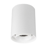 Светильник SP-FOCUS-R110-18W Day4000 (WH, 24 deg, 230V) (Arlight, IP54 Металл, 5 лет)