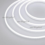 Образец Гибкий неон GALAXY-1206-5000CFS-2835-100 12V White 0.5M (12x6mm, 12W, IP67) (Arlight, 12 Вт/м, IP67)