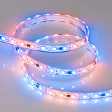 Светодиодная лента герметичная SPI-P-B60-12mm 12V RGB-PX3 (14.4W/m, IP66, 5060, 5m) (Arlight, Закрытый, IP66)