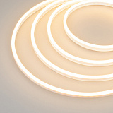 Образец Гибкий неон GALAXY-1206-5000CFS-2835-100 12V Warm 0.5M (12x6mm, 12W, IP67) (Arlight, 12 Вт/м