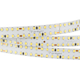 Светодиодная лента S2-A280-15mm 24V White6000 (20 W/m, IP20, 2835, 2.5m) (Arlight, 20 Вт/м, IP20)
