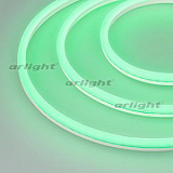 Образец Гибкий неон GALAXY-1608-5000CFS-2835-100 12V Green 0.5M (16x8mm, 12W, IP67) (Arlight, 12 Вт/м, IP67)