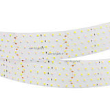 Светодиодная лента RT-A350-58mm 24V Day4000 (36 W/m, IP20, 2835, 2.5m) (Arlight, Открытый)